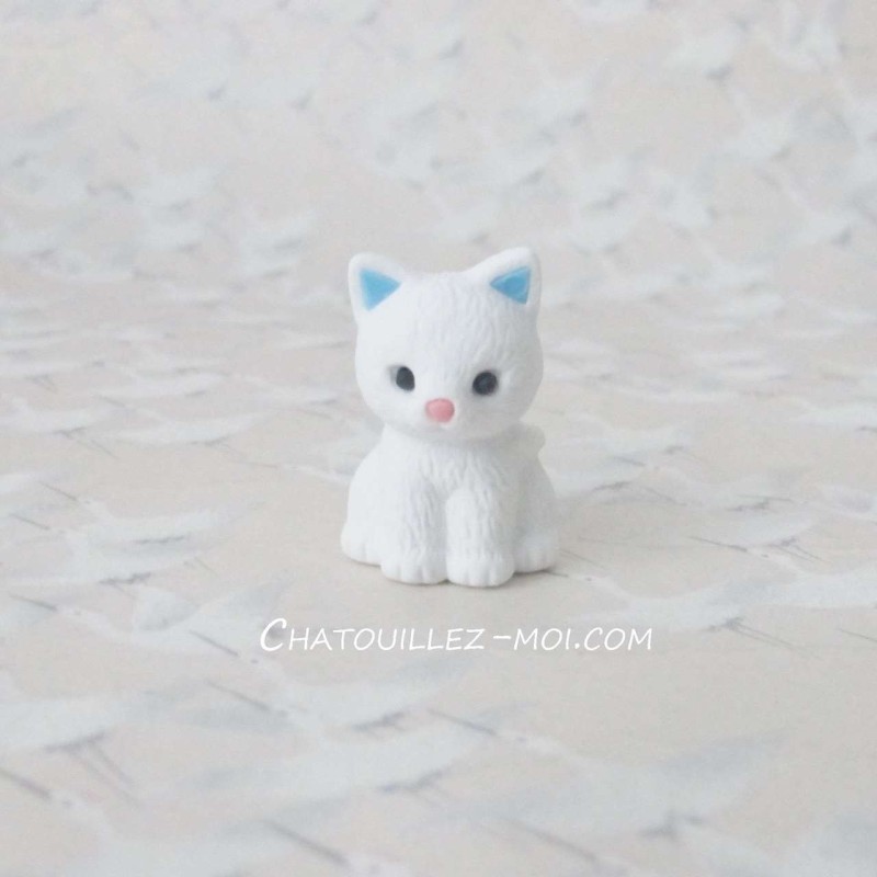 Gomme chat blanc