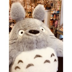 copy of Totoro sakura