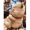 Peluche Chat Amuse – Grand Chat Kawaii 40 cm – Chat Blanc